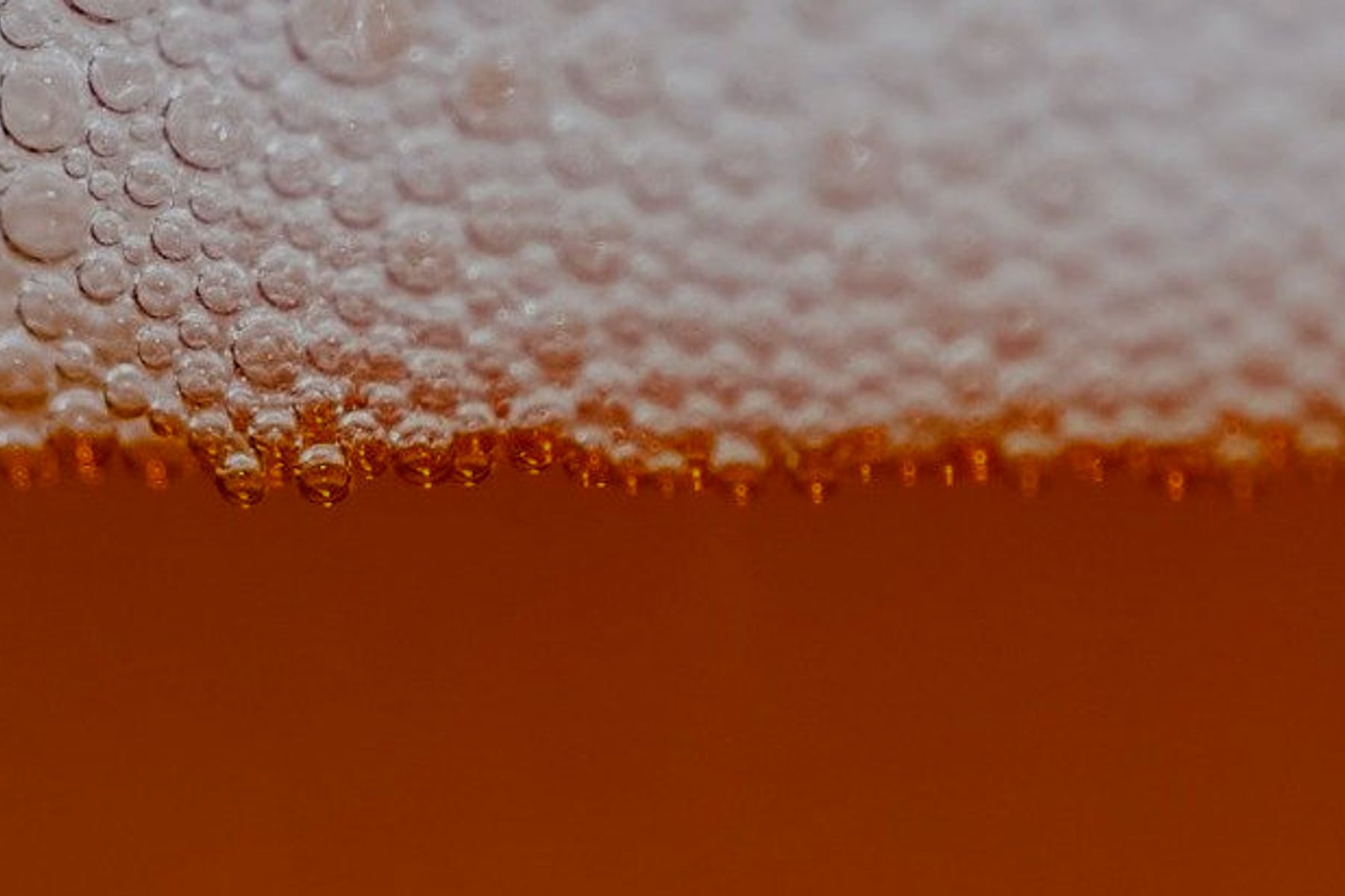 Aviator C-54 Airplane Bar gallery photo
